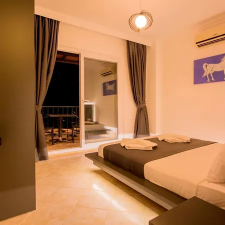 Ardic 2 4* Kaş